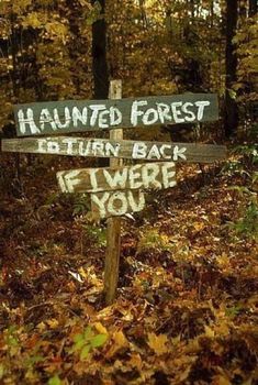 a wooden sign sitting in the middle of a forest filled with lots of leaf covered ground