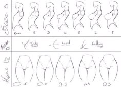 how to draw female butts step by step