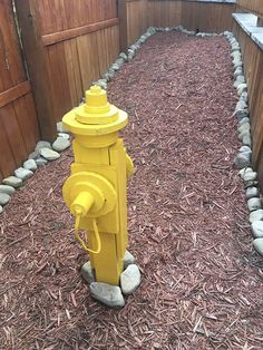 a yellow fire hydrant sitting in the middle of some mulch next to a fence