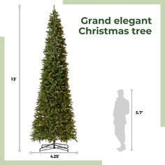 a tall christmas tree is shown with the measurements for it's base and height