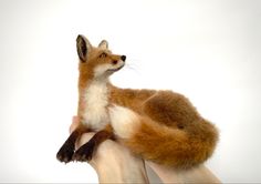 a hand holding a stuffed animal that looks like a fox