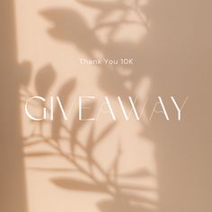 a plant casts a shadow on the wall that reads, thank you 101k giveaway