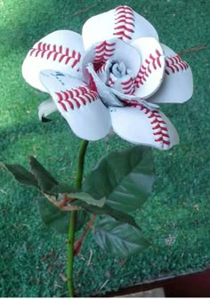 a white and red flower with baseballs on it