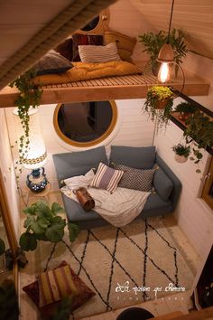 an overhead view of a living room with a blue couch and potted plants on the floor