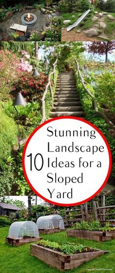 Yard Stairs, Sloped Front Yard, Sloped Backyard Landscaping, Alternative Homes, Terraced Landscaping, Landscaping A Slope, Sloped Yard, Hillside Garden, Sloped Backyard