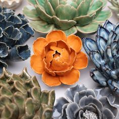 there are many different types of succulents on the table, including one orange flower