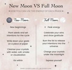 Full Moon Dos And Donts, New Moon Vs Full Moon, What To Do On A Full Moon, Full Moon Astrology, Full Moon Phase, January Moon, New Moon Full Moon, Moon Activities