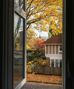 an open window looking out onto a yard with fall leaves on the ground and trees outside