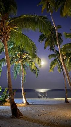 the full moon is setting over the ocean and palm trees on the beach at night