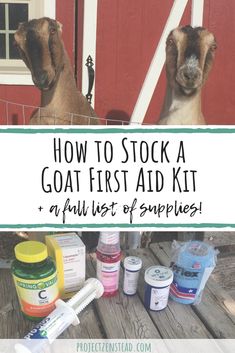 two goats standing next to each other with the words how to stock a goat first aid kit