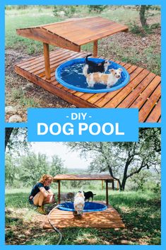 the diy dog pool is made from pallet wood and has two dogs in it