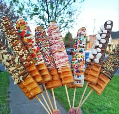 a person holding up several different kinds of food on sticks