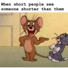 an image of a cartoon mouse and rat with caption saying, when short people see someone shorter than them