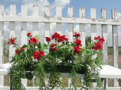 some red flowers are growing in a white planter on a bench near a fence