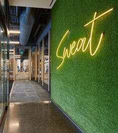 a green wall with the word sweat on it and neon lights in front of it