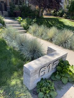 a cement bench sitting on top of a lush green hillside next to a garden filled with plants