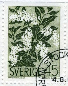 a stamp with white flowers on it