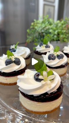 several desserts on a clear plate with blueberries and mint leaves in the middle