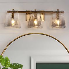 three lights on the wall above a mirror and potted plant in front of it