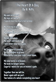 a poem written in black and white with a dog's face