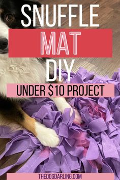 a black and white dog laying on top of a pile of purple paper with the words snuffle mat diy under $ 10 project