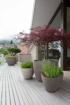 three large planters on a wooden deck with trees and bushes in the middle,