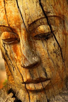 a close up of a wooden statue with eyes closed