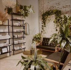 a living room filled with furniture and lots of plants