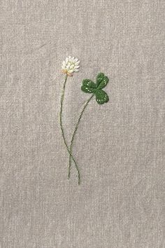 a white flower sitting on top of a gray surface