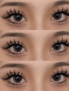 Wet Eyelash Look, Magna Lashes, Manwha Lash Extensions, Lash Extensions Downturned Eyes, Classic Doll Eyelash Extensions, Dolly Eyelashes, Baby Doll Lashes, Asian Eyelash Extensions, Classic Wispy Lash Extensions