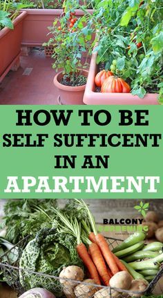 an assortment of vegetables with the words how to be self sufficient in an apartment