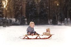 a baby sitting on a sled with a teddy bear