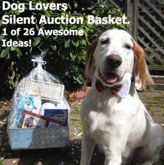 a dog sitting on the ground next to a basket with items in it and text that reads dog lovers silent auction basket 1 of 26 awesome ideas