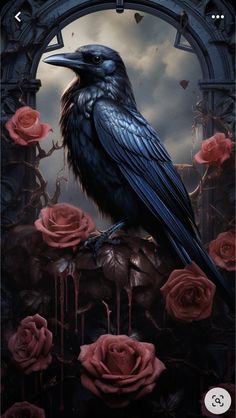 a black bird sitting on top of roses