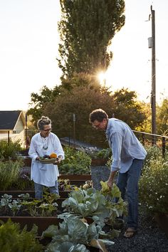 two men are tending to plants in the garden at sunset, one is holding a tray with vegetables