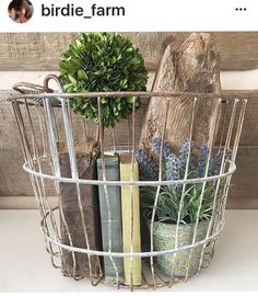 a wire basket filled with books and plants