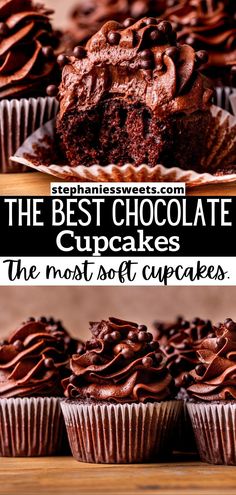 the best chocolate cupcakes in the most soft cupcake form are on display