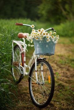 a bicycle with flowers in the basket is parked on a path near tall grass and trees