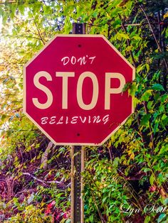 a red stop sign with the words don't stop believing written on it in front of some trees