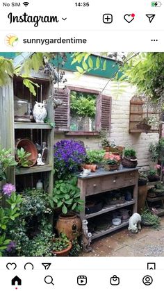 an outdoor garden area with potted plants and pots on the shelf, including flowers