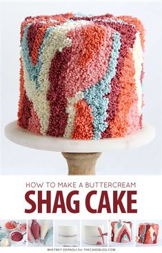 the cover of how to make a buttercream shag cake, with instructions