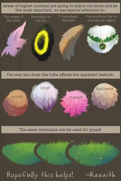 an info sheet describing the different types of feathers