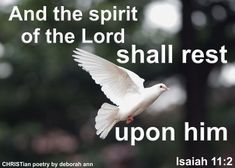 a white dove flying through the air with a bible verse below it that reads, and the spirit of the lord shall rest upon him