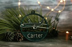 a christmas ornament with an airplane on it sitting next to pine cones and lights