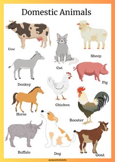 an animal chart with different types of animals