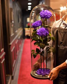 a man holding a glass dome with purple flowers in it on a red carpeted hallway