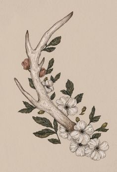 an antler with flowers and leaves on it's back is shown in this drawing