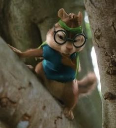 a squirrel with glasses is climbing up a tree