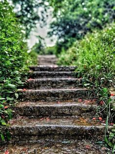 a set of steps that lead up to the top of a hill covered in rain