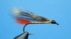 an orange and black fly with long hair on it's tip, against a blue background